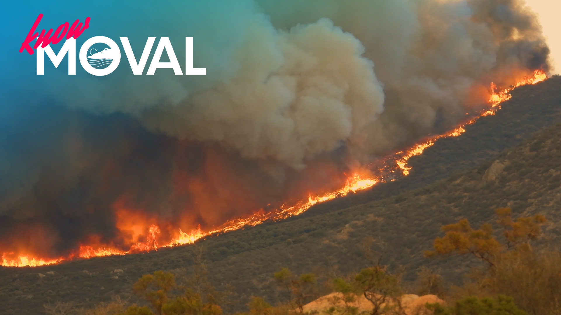 Know MoVal: Alert MoVal