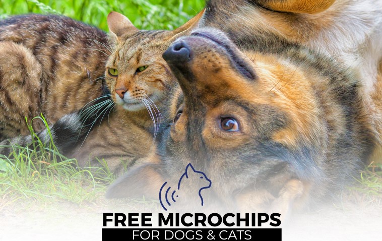 Free microchip
